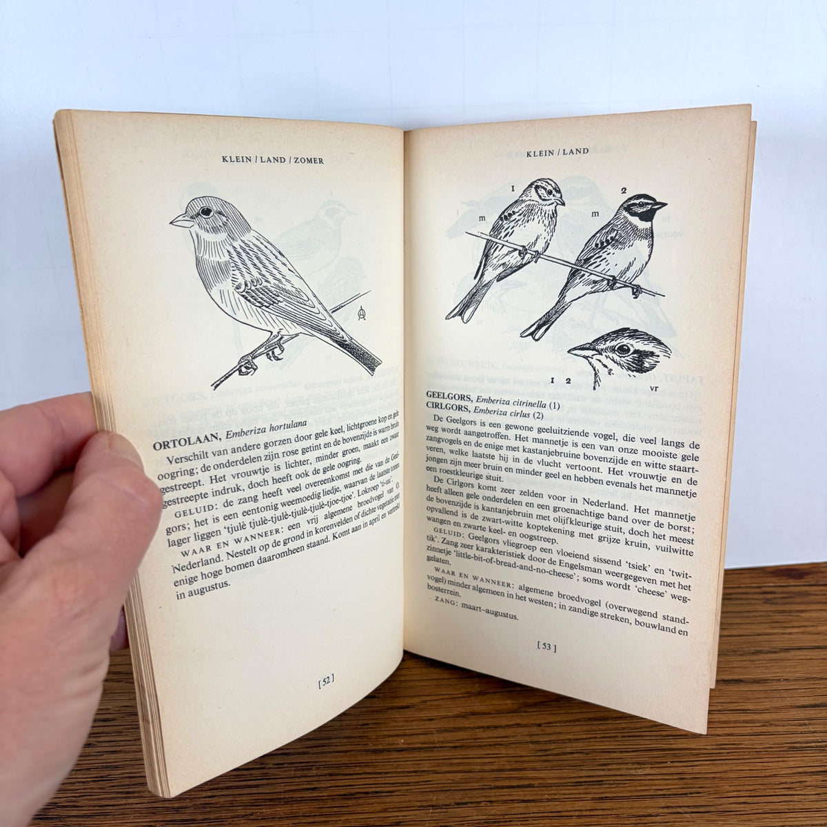 Vintage veldgids voor vogels Phoenix Pockets