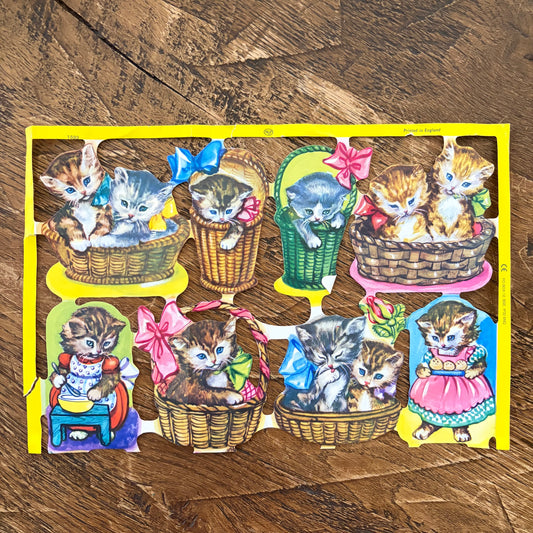 Poezieplaatjes katten
