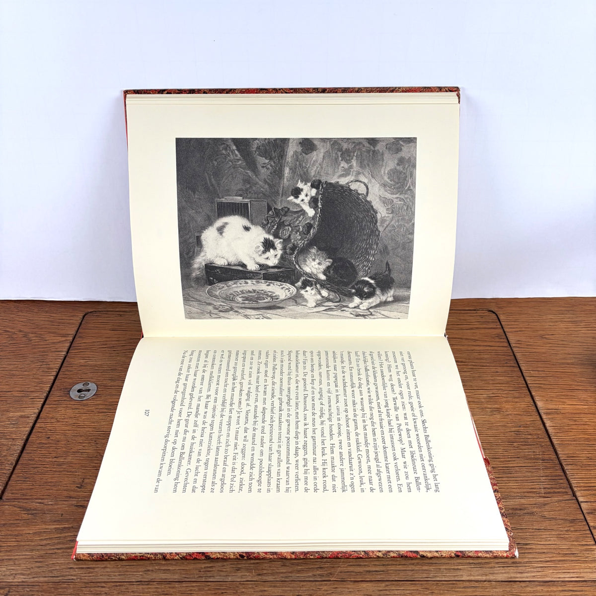 Vintage boek Twee vrouwen over Katten Stellweg & Ronner