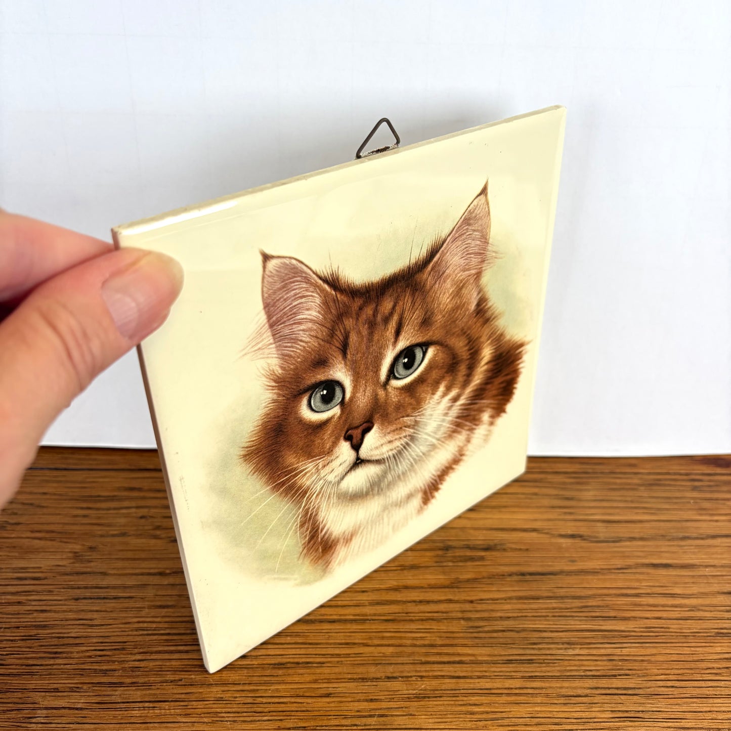 Vintage tegel rode kat
