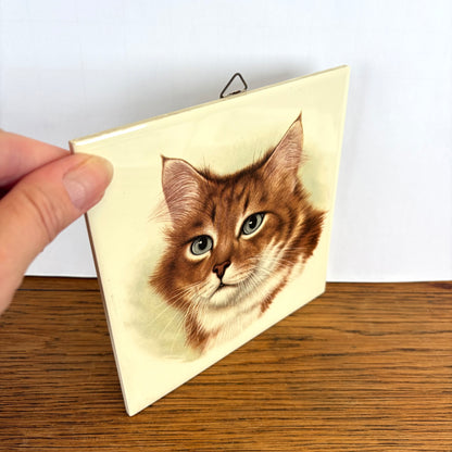 Vintage tegel rode kat