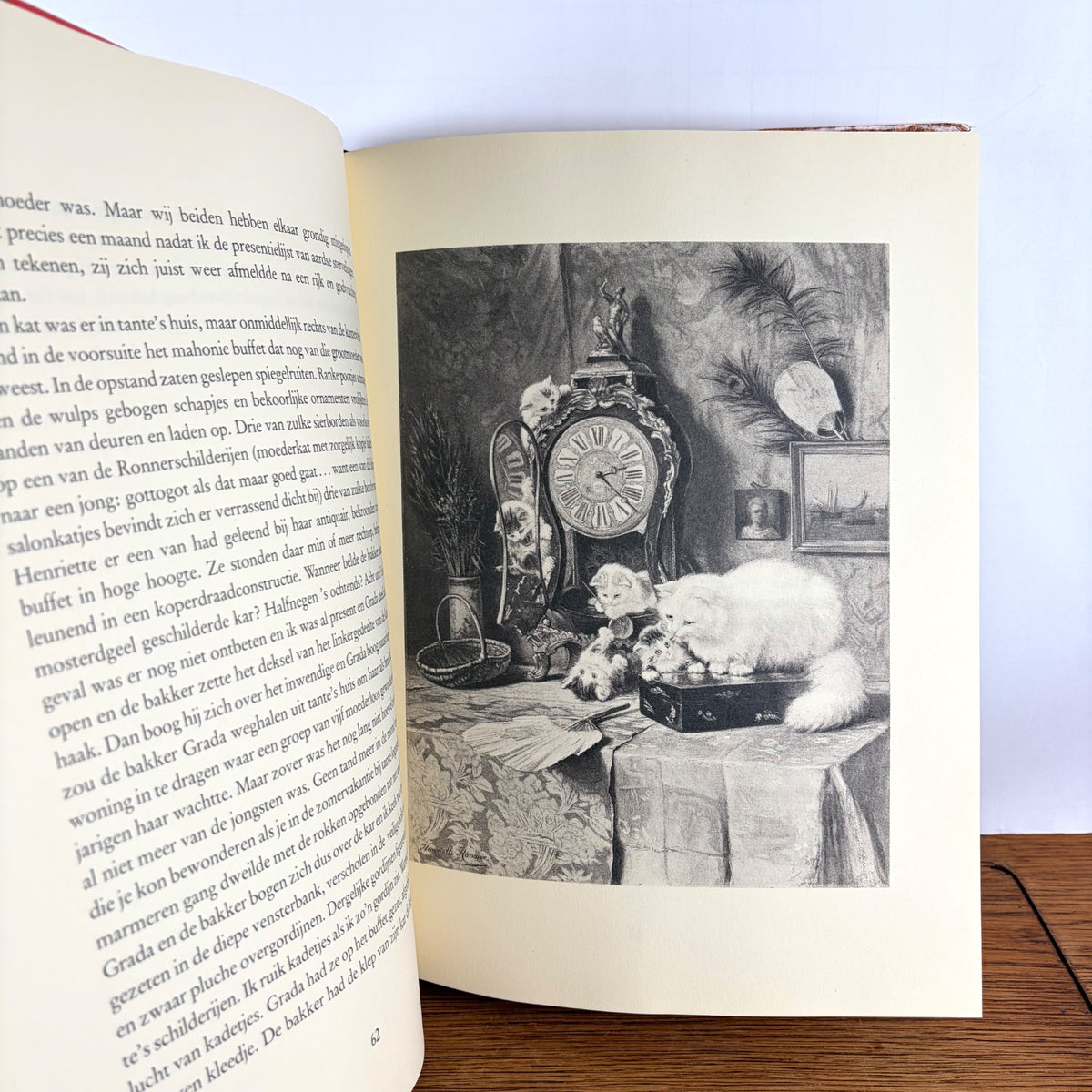 Vintage boek Twee vrouwen over Katten Stellweg & Ronner