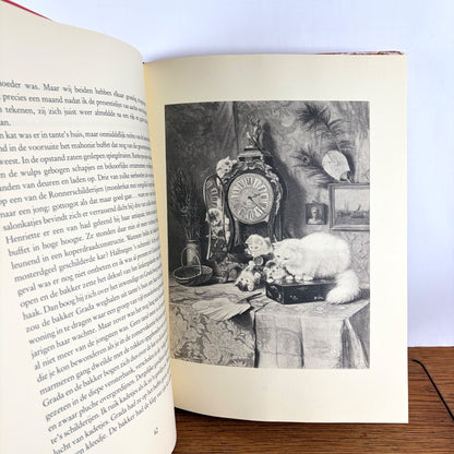 Vintage boek Twee vrouwen over Katten Stellweg & Ronner