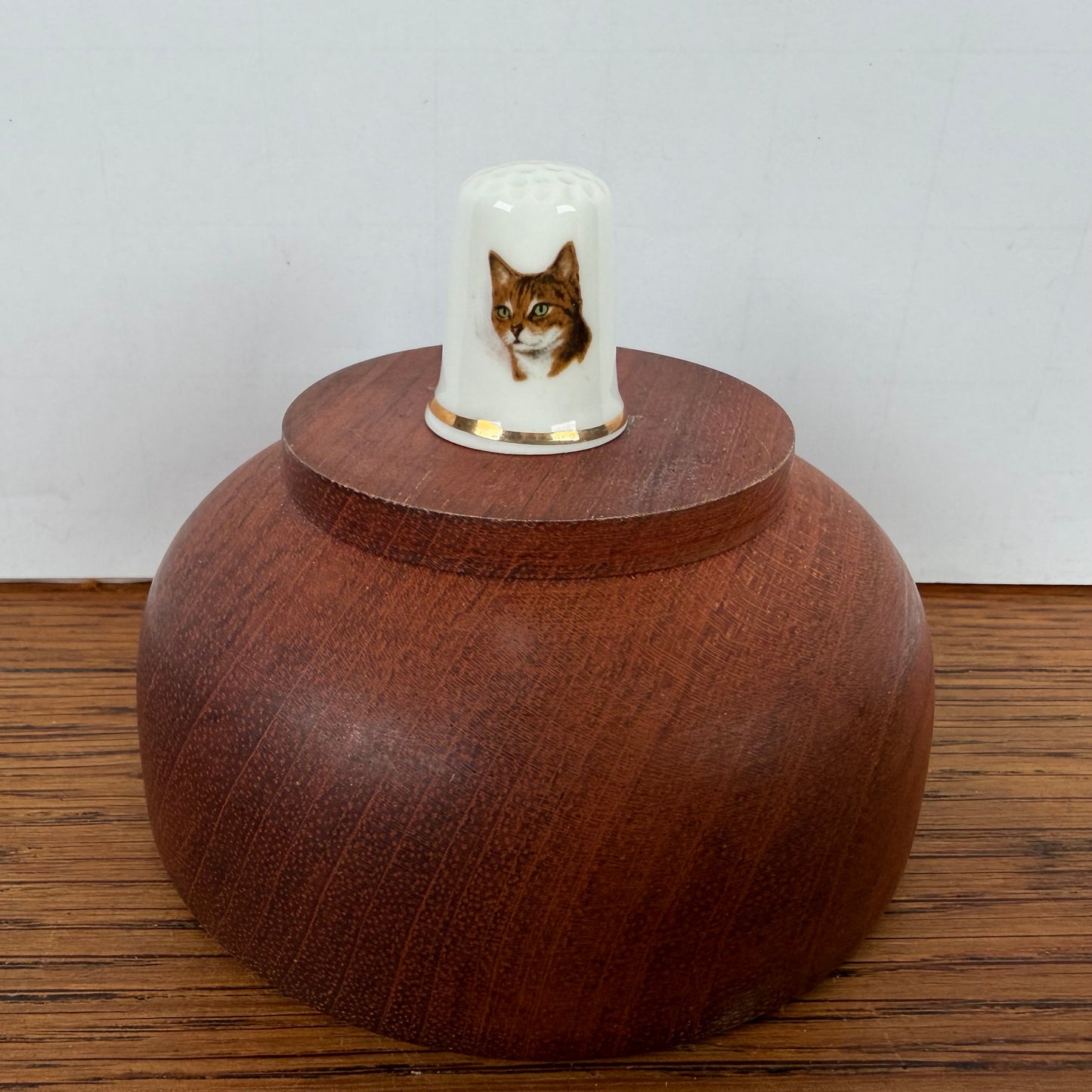 Vingerhoedje kat