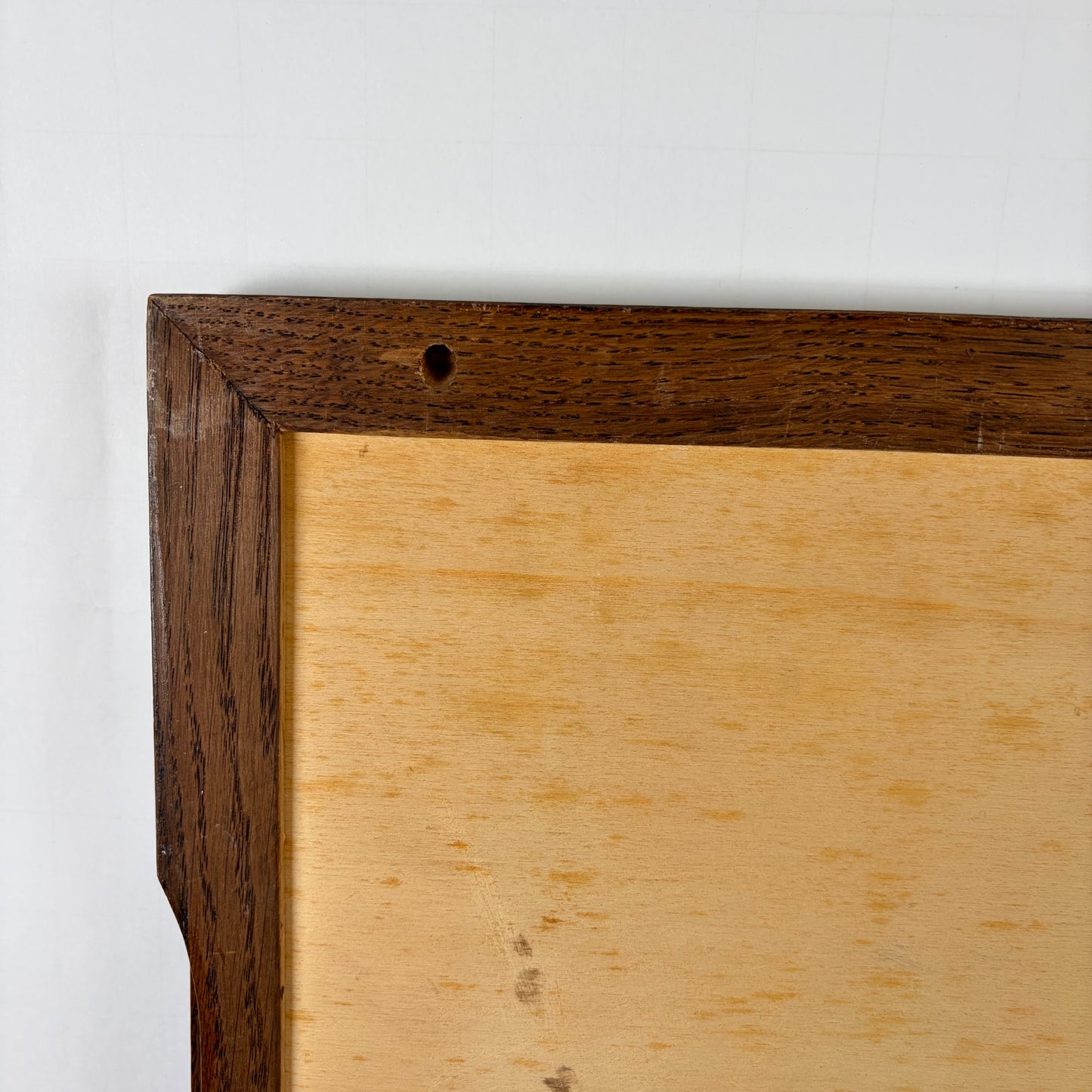 Vintage dienblad katten