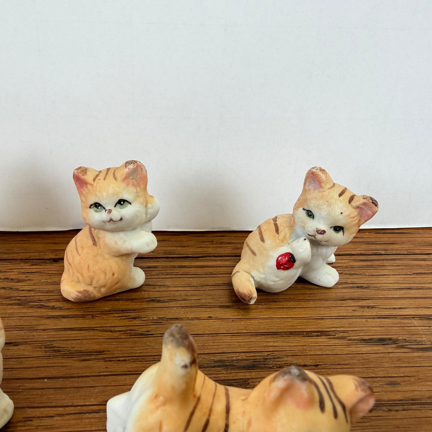 5 kleine katjes