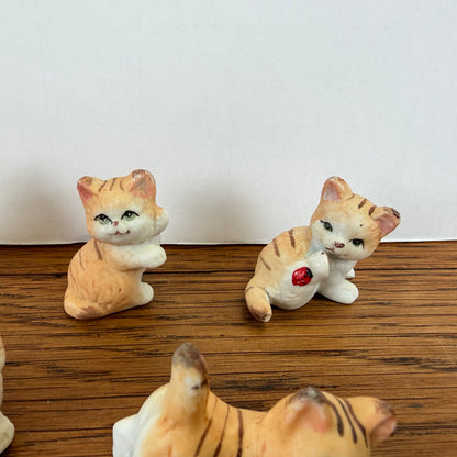 5 kleine katjes