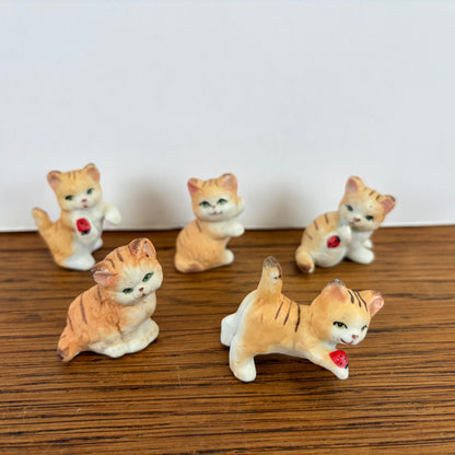 5 kleine katjes