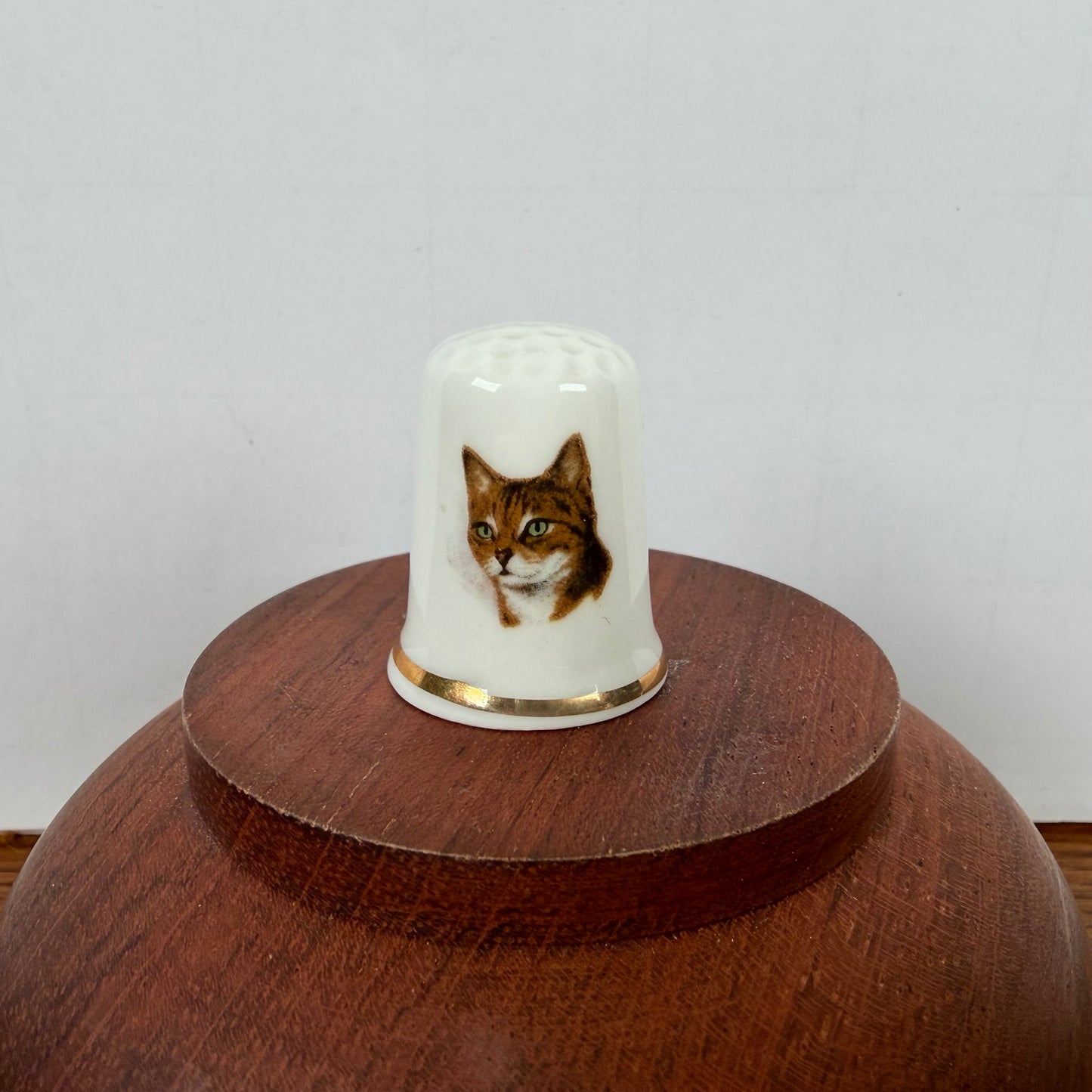 Vingerhoedje kat