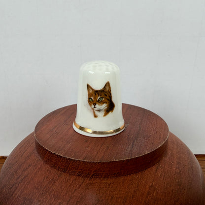 Vingerhoedje kat