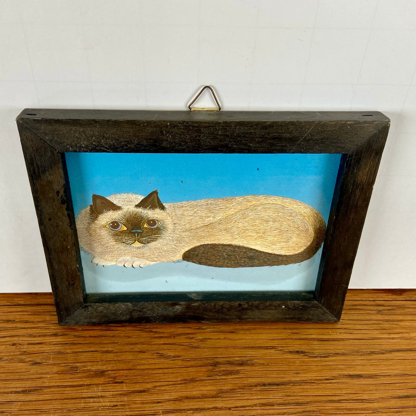 Schilderijtje kat liggend