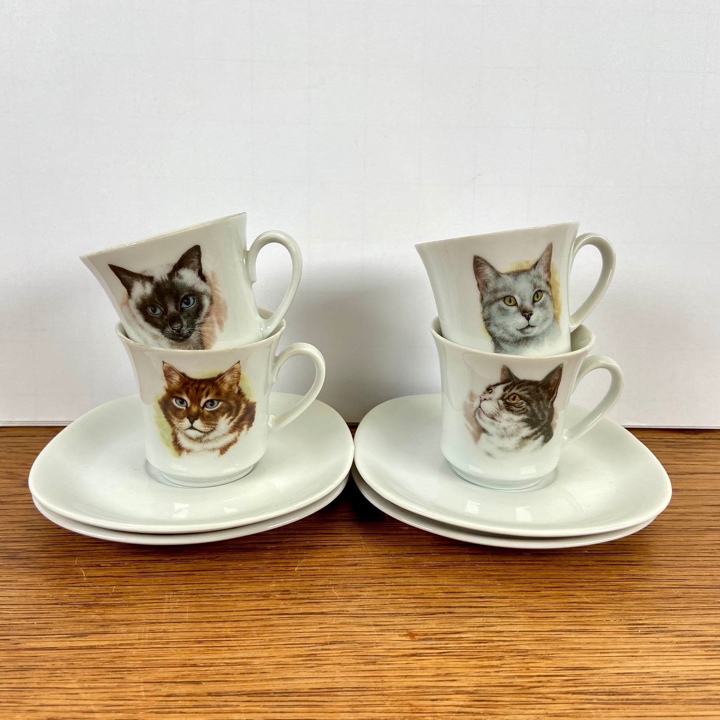 Kop en schotels katten