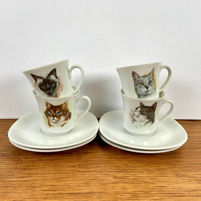 Kop en schotels katten