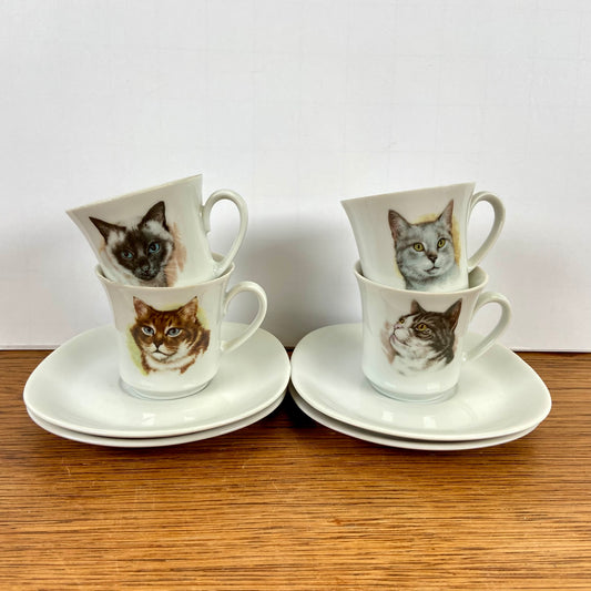 Kop en schotels katten