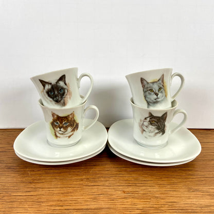 Kop en schotels katten