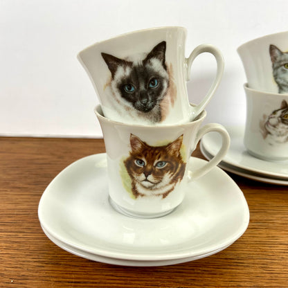 Kop en schotels katten