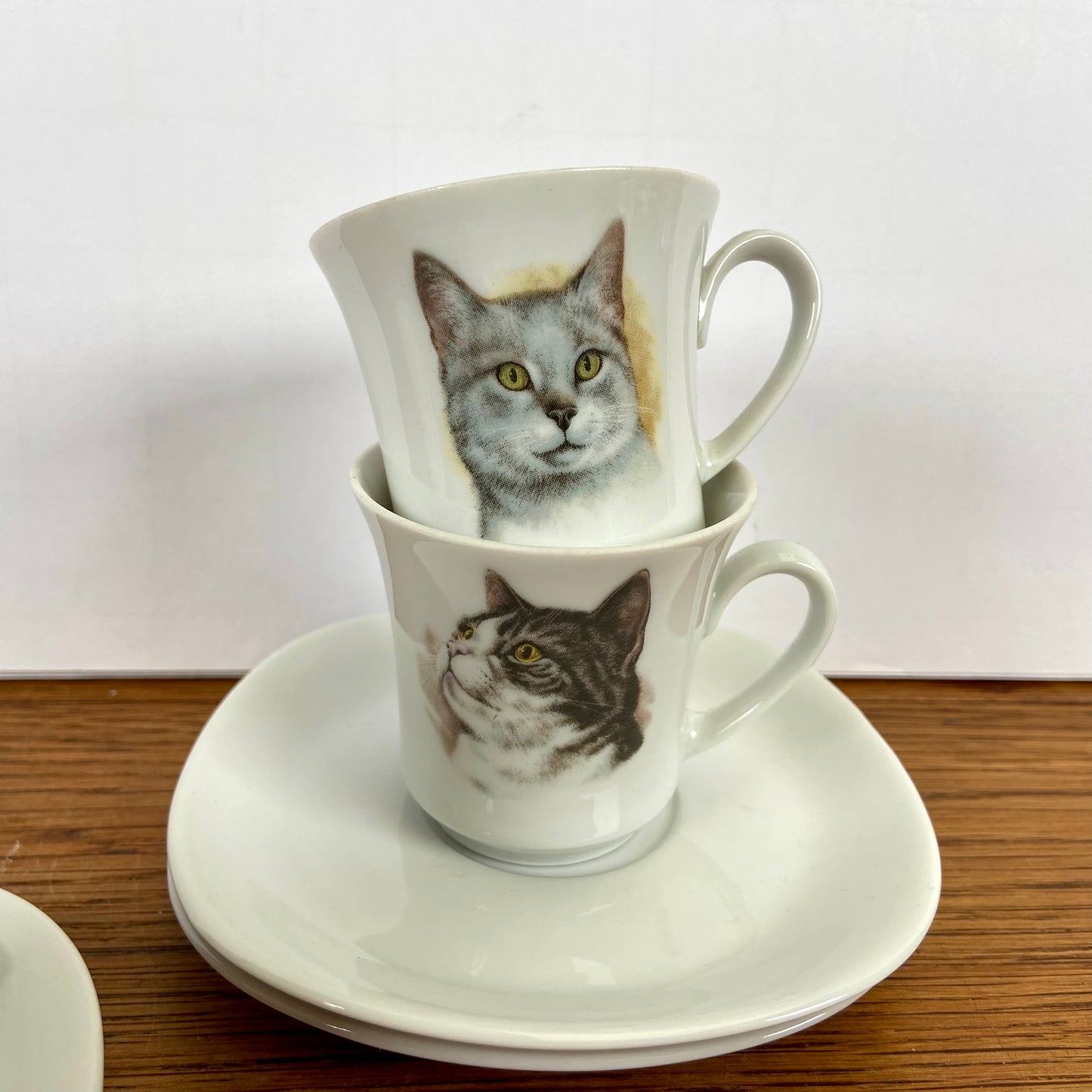 Kop en schotels katten