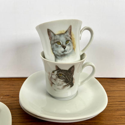 Kop en schotels katten