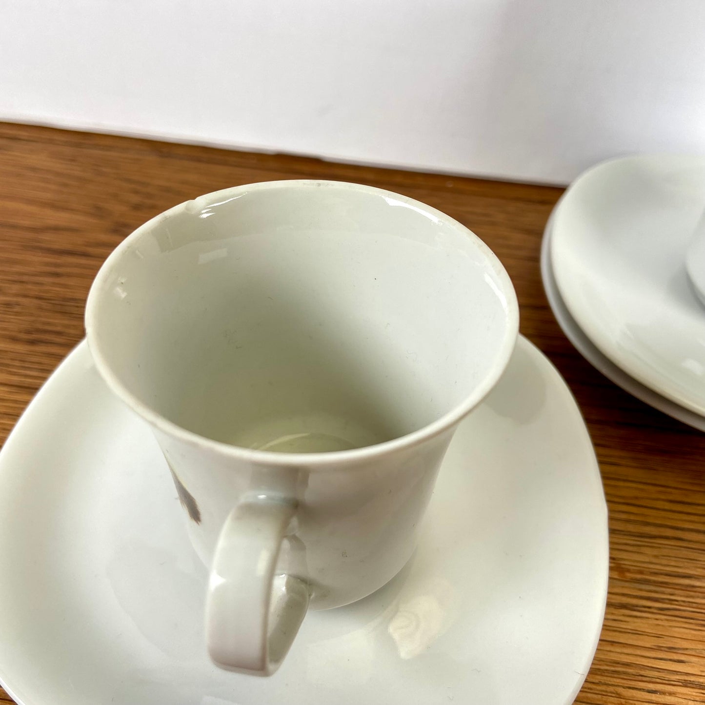 Kop en schotels katten