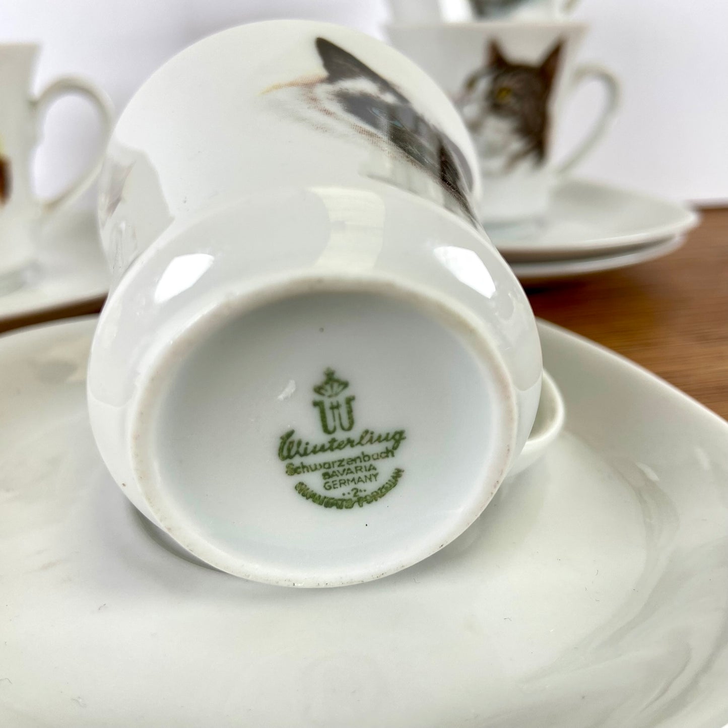 Kop en schotels katten