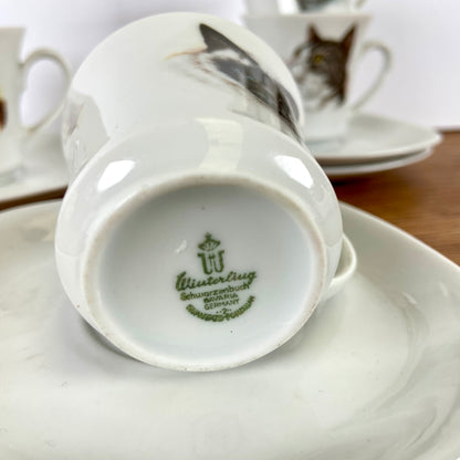 Kop en schotels katten