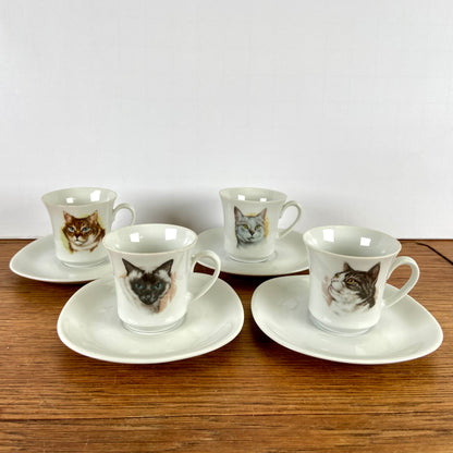 Kop en schotels katten