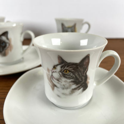 Kop en schotels katten