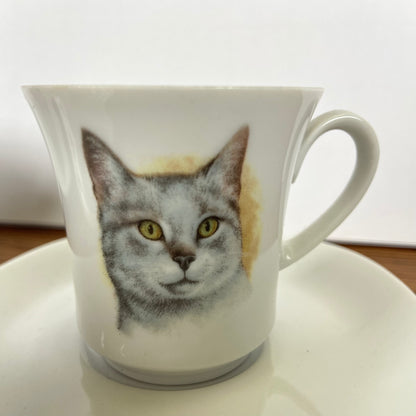 Kop en schotels katten