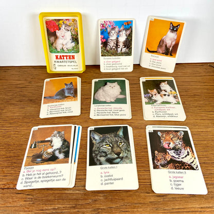 Katten kwartet
