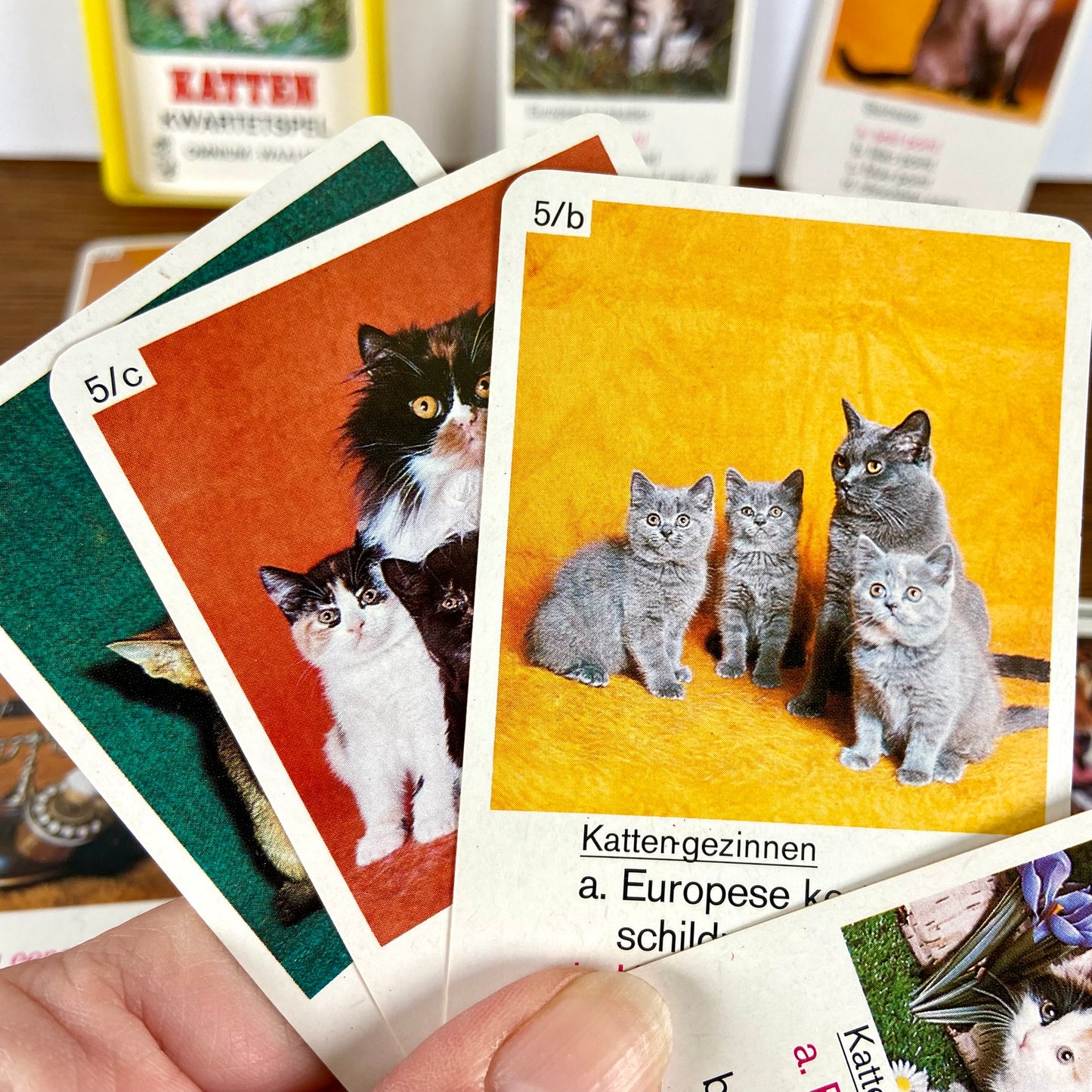 Katten kwartet