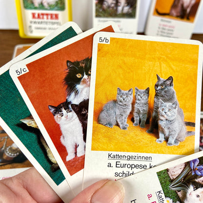 Katten kwartet