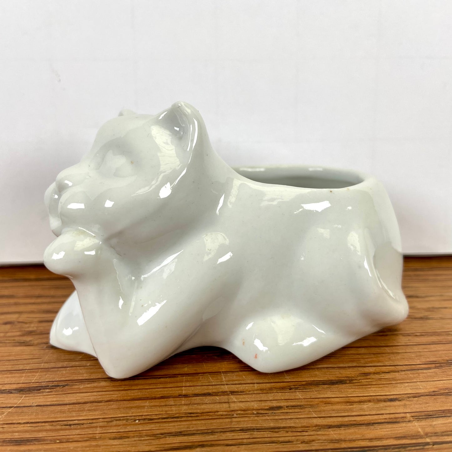 Klein wit bloempotje kat