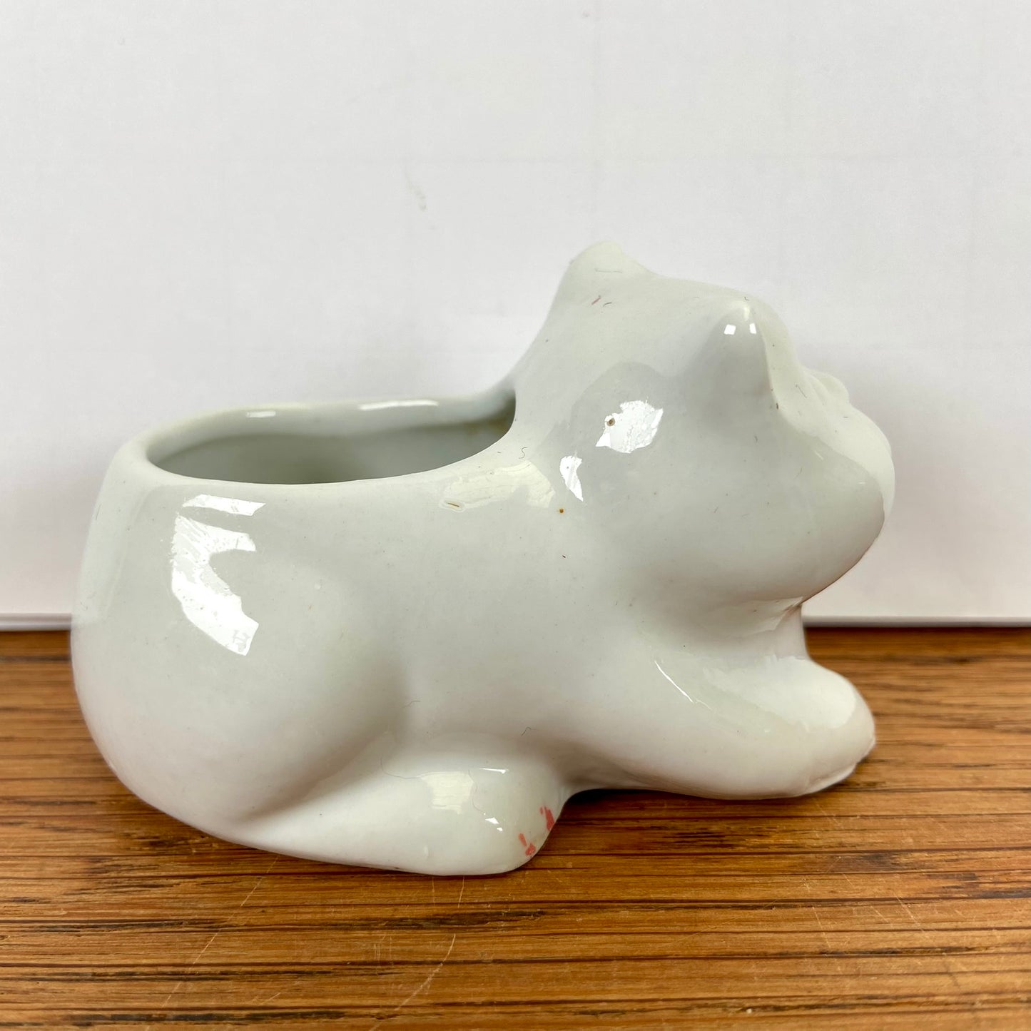 Klein wit bloempotje kat