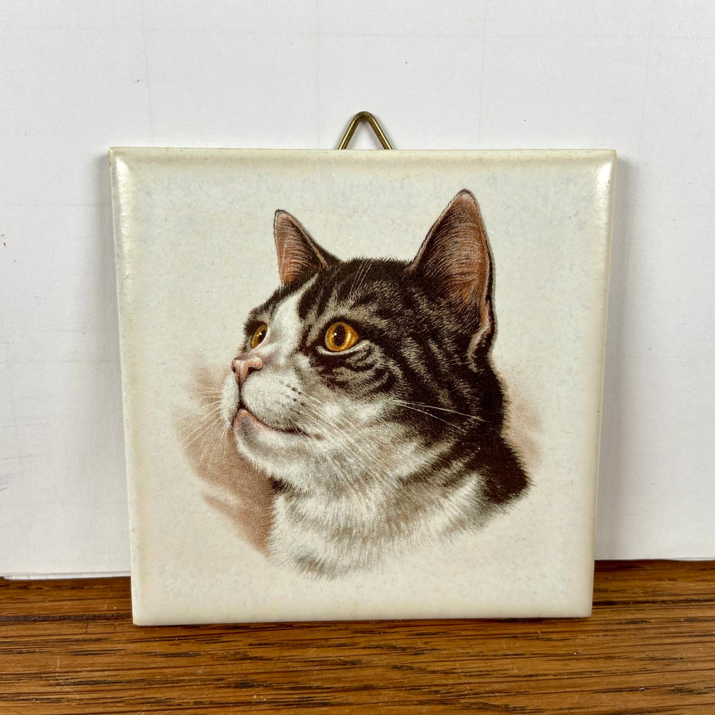 Vintage tegeltje kat  2