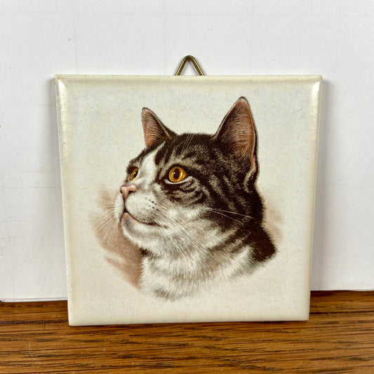 Vintage tegeltje kat  2