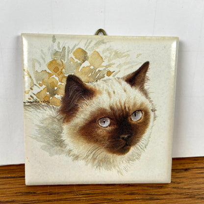 Vintage tegeltje kat ragdoll