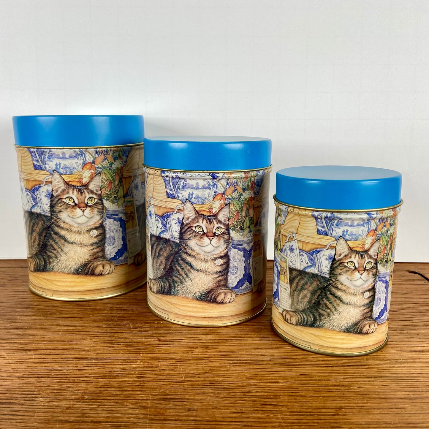 Set 3 katten blikken