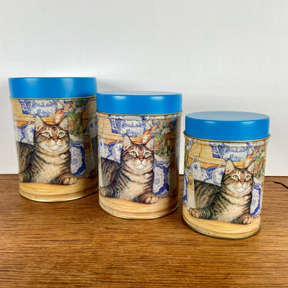 Set 3 katten blikken