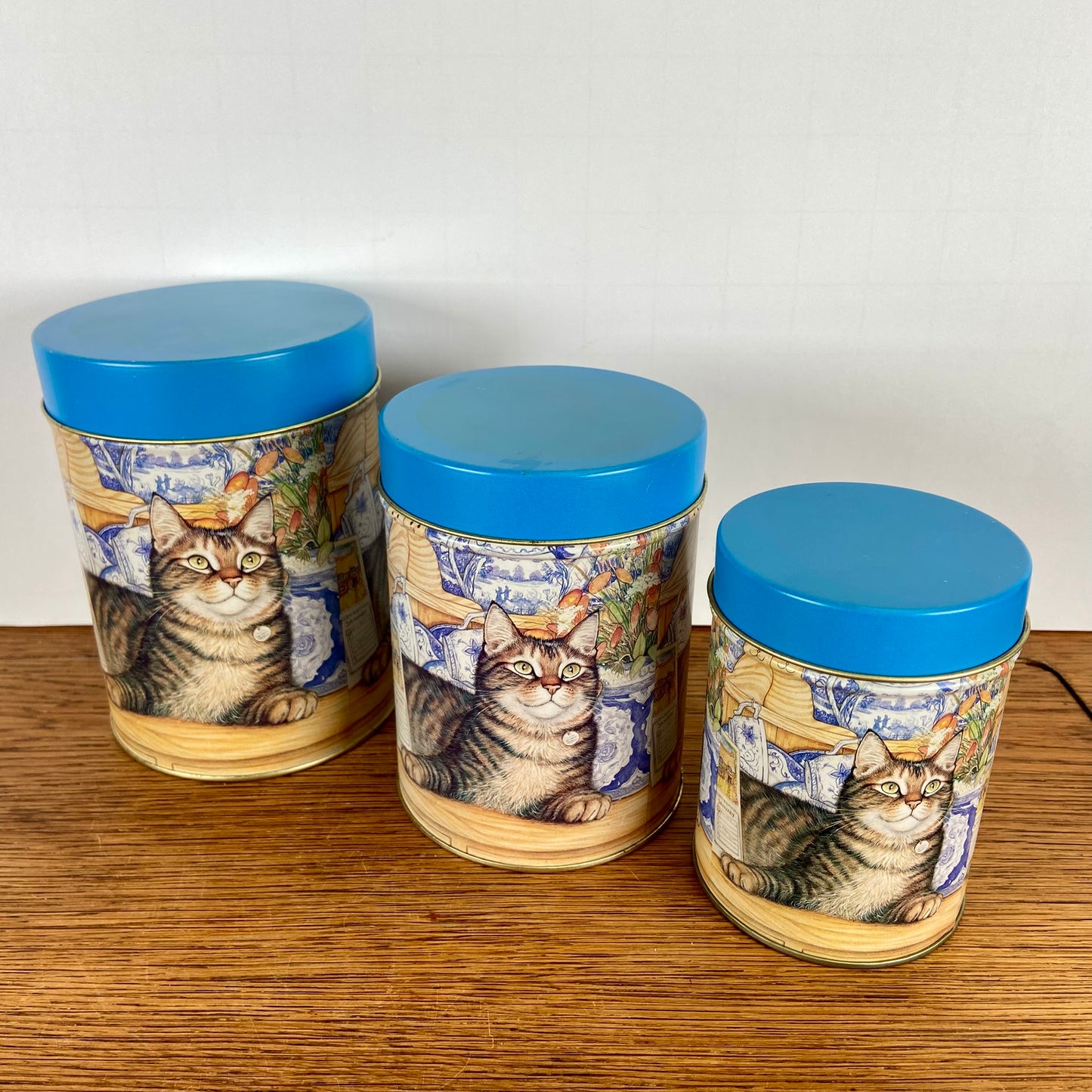 Set 3 katten blikken