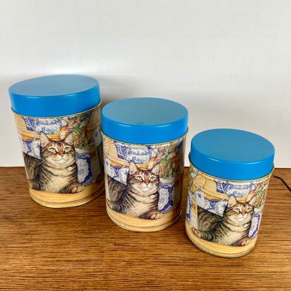 Set 3 katten blikken