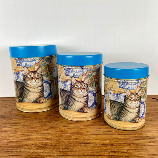 Set 3 katten blikken