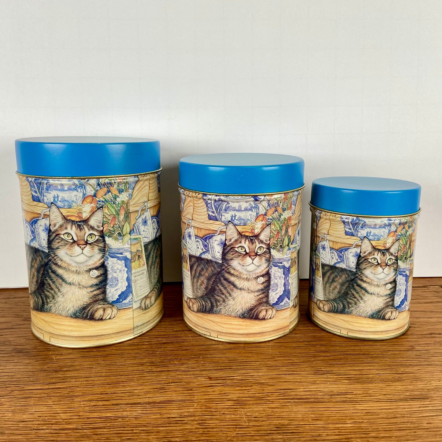 Set 3 katten blikken