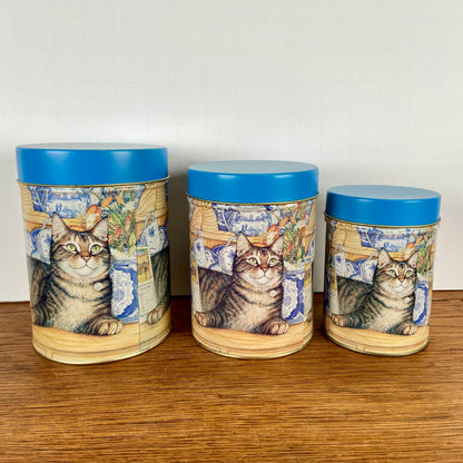 Set 3 katten blikken