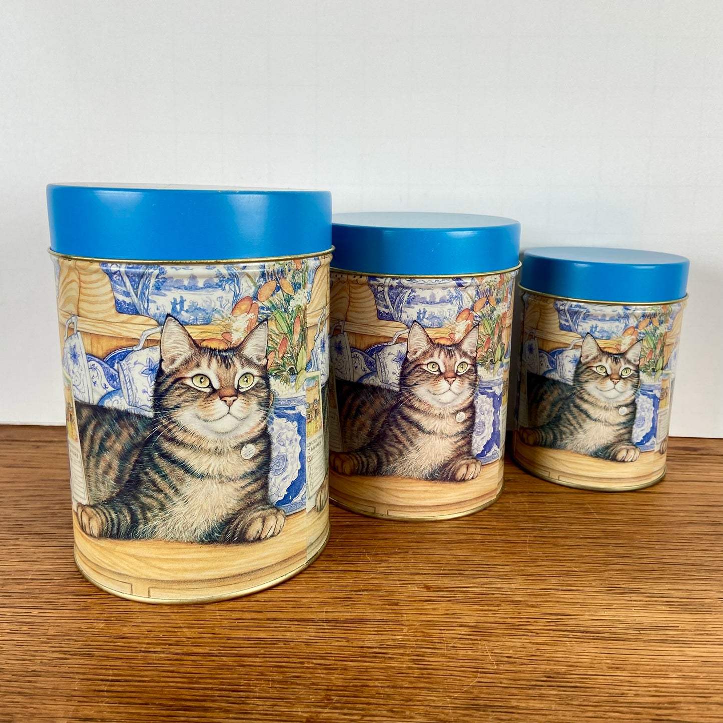 Set 3 katten blikken