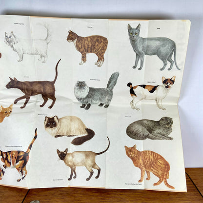 Katten kaart