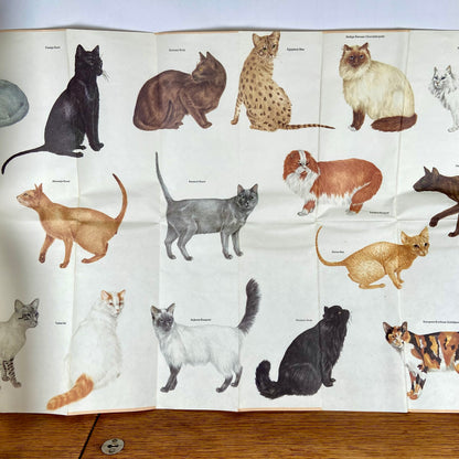 Katten kaart