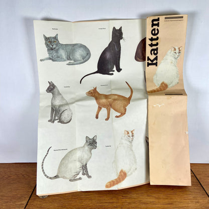 Katten kaart