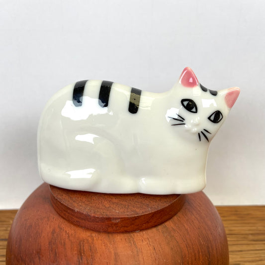 dunne kat