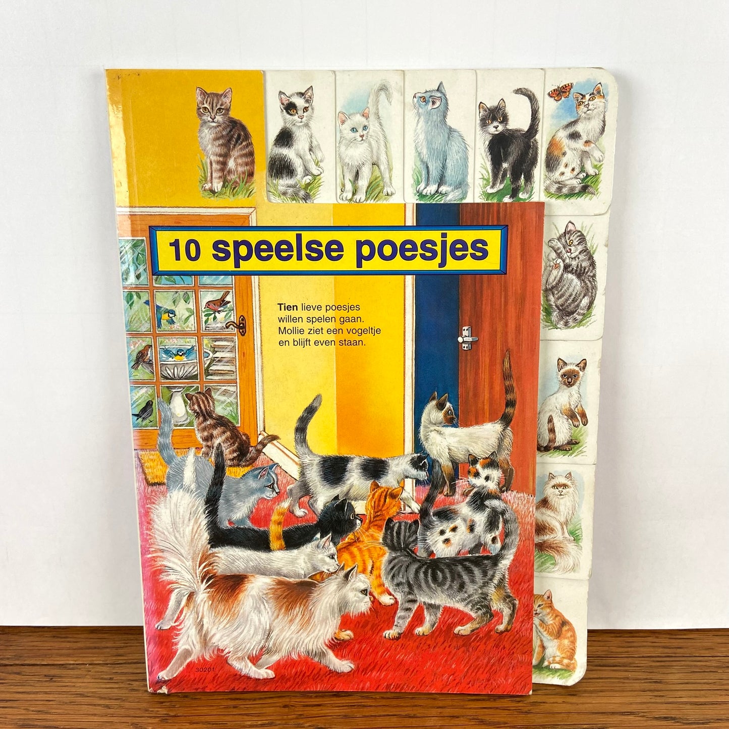 Vintage boek 10 speelse poesjes