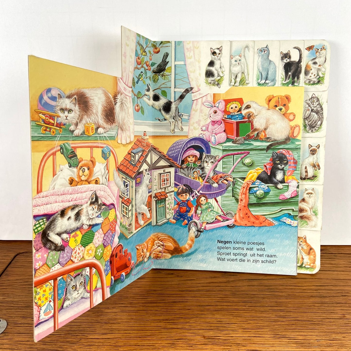 Vintage boek 10 speelse poesjes